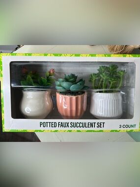Brand new-Festive Voice-Potted Faux Succulent Set-Set of 3